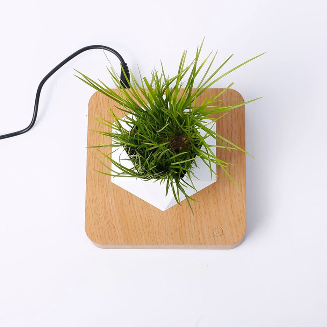 Levitating Magnetic Planter