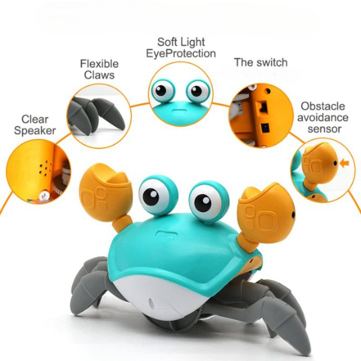 Crawling Crab Interactive Children's Toy