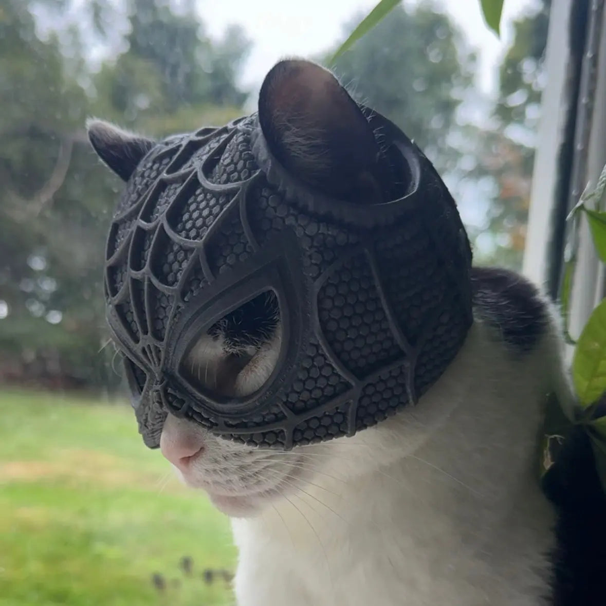 SPIDER CAT MASK™