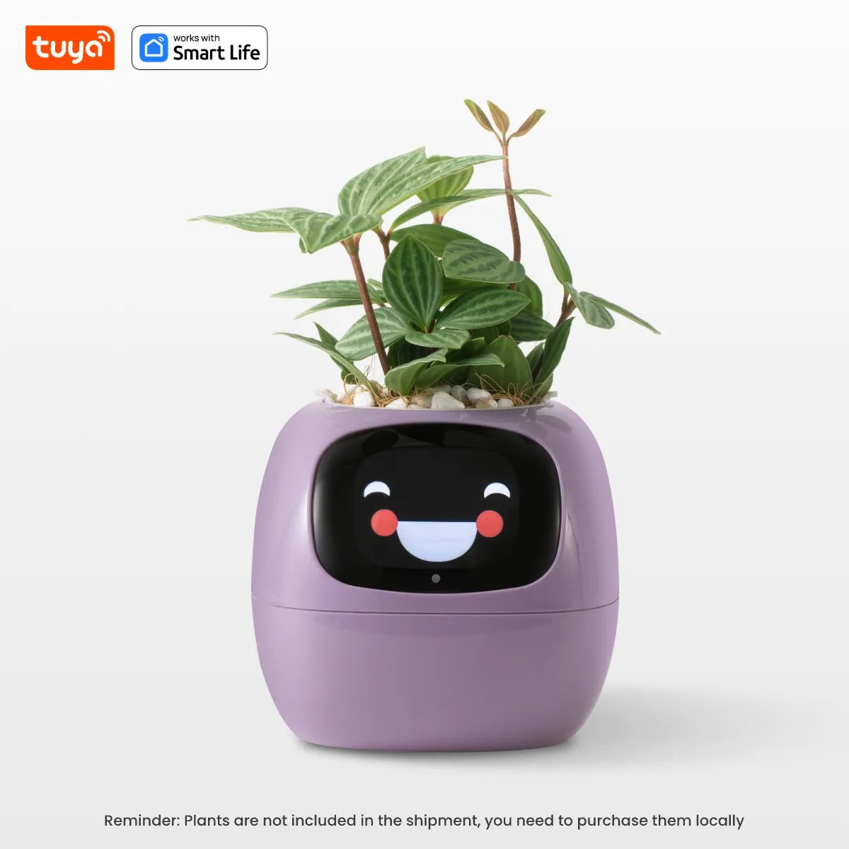 Plantagotchi - AI Smart Planter